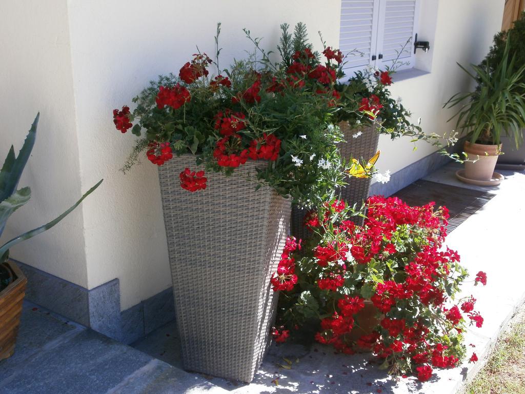 Garni Hattlerhof B&B Brunico Luaran gambar